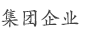 集团企业