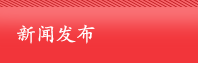 新闻发布