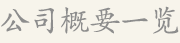 公司概要一览