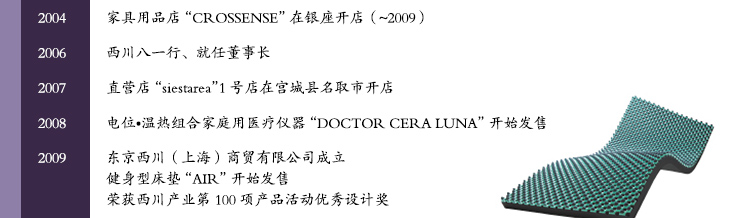 平成时代 2004-2009