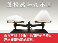 蓬松感与众不同