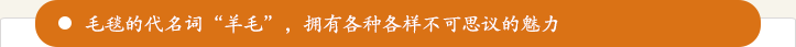 毛毯的代名词“羊毛”，拥有各种各样不可思议的魅力
