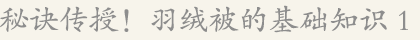 秘诀传授！羽绒被的基础知识1
